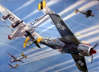 Combat box WWII Wings of war 190lib10
