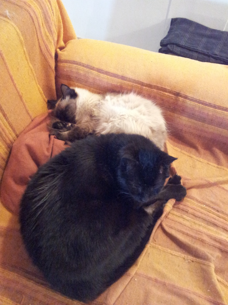 Barney est au poils :) !!! 20130410
