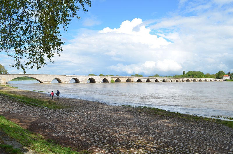 Visite des bords de Loire. Dsc_8410