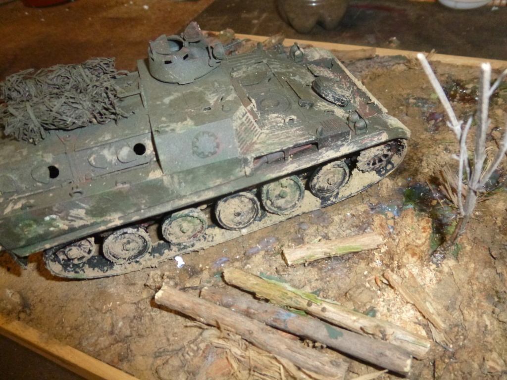 AMX 13 VTT P1100922