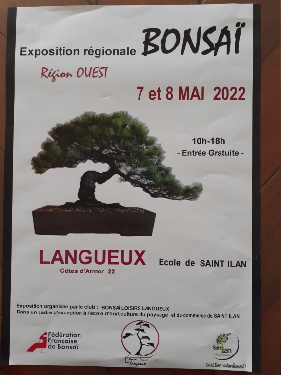 la passion du bonsai - Page 11 20220411