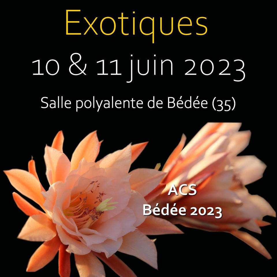 marchés aux plante exotique de Bédée (35) 35051810