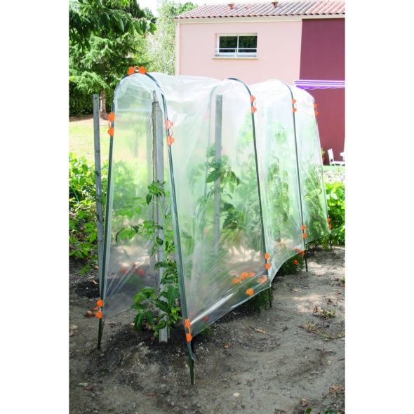 Tomates 2019 - 2020 - 2021 - 2022 - Page 37 35676-10