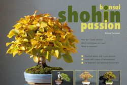 la passion du bonsai - Page 22 Bonsai12