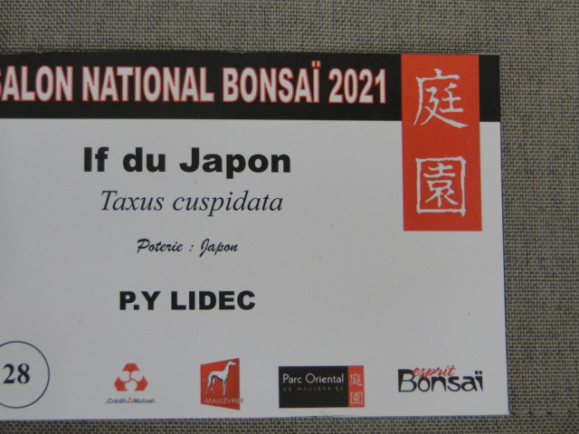 la passion du bonsai - Page 31 Dsc01735