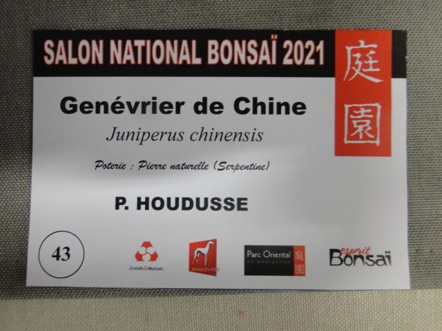 la passion du bonsai - Page 32 Dsc01829