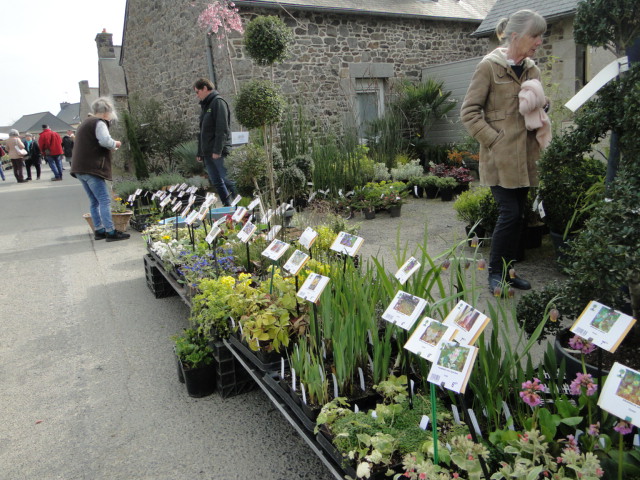 Andel  marché aux plantes 2022 - Page 2 Dsc02954