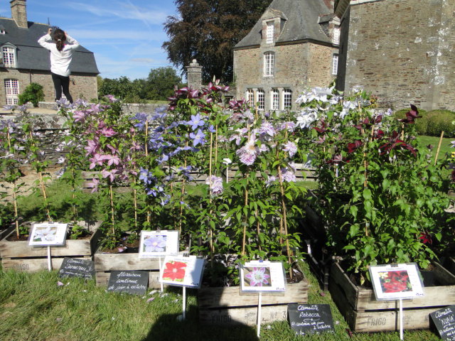 10ème édition de la fête des plantes couleurs d'Automne au château de la Bourbansais Dsc08409