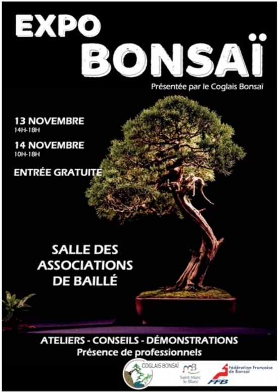 la passion du bonsai - Page 38 Mini_f10