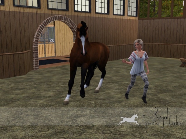 • Distible du REC (Royal Equestrian Centre) • Screen16