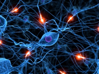 عمى الدماغ  Neuron10