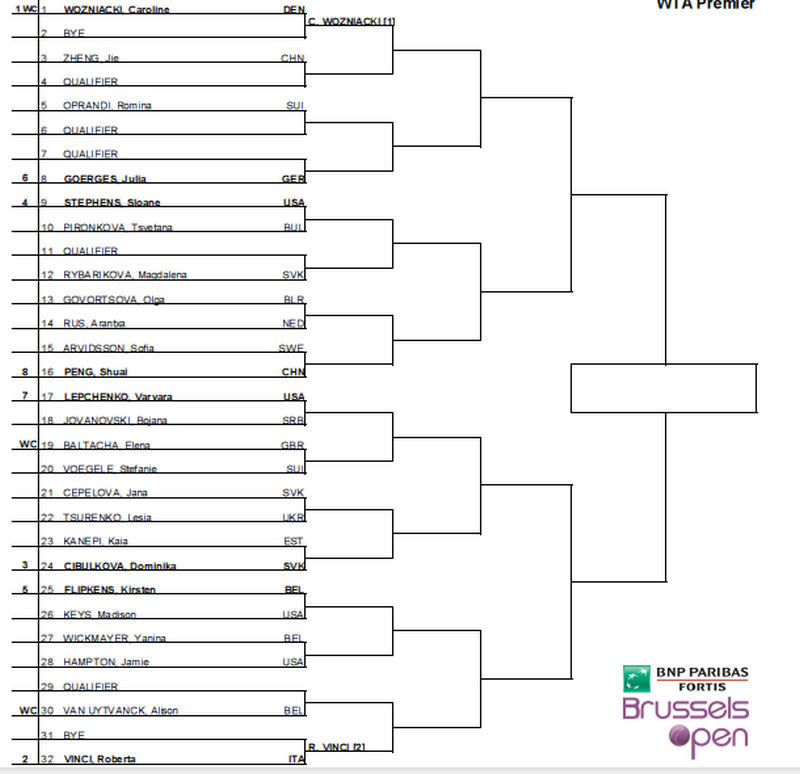 WTA BRUXELLES 2013 : infos, photos et vidéos Captur20