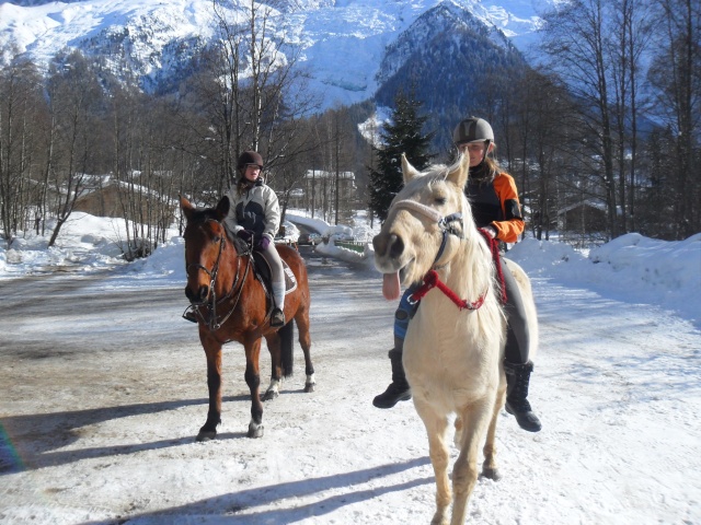 LUTSIANO dit LULU- ONC Selle né en 2004 - adopté en mars 2011 par Isaline - Page 3 Sam_0110