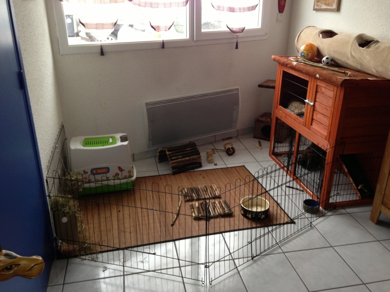 Habitation des lapins : exemples de cages, enclos ... - Page 24 Photo10