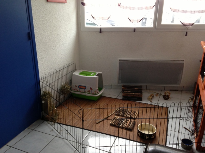 Habitation des lapins : exemples de cages, enclos ... - Page 24 Photo_10