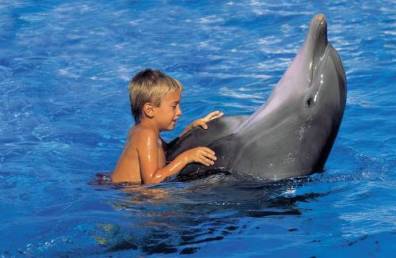 Nager aux côtés des dauphins Delfin10