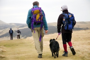 Marcher avec votre chien pendant 45 minutes Marche11