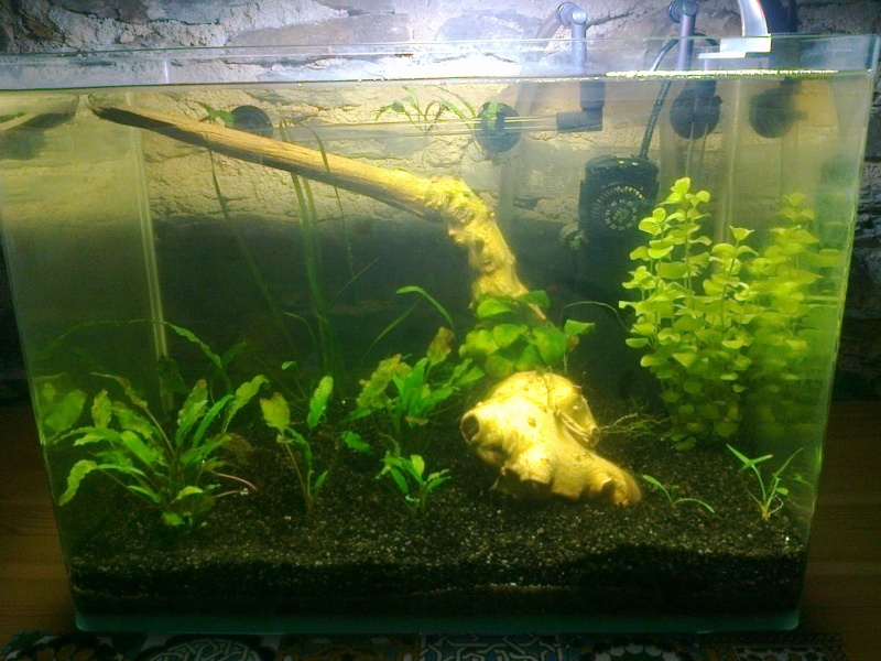 Nano 30L  Photo013