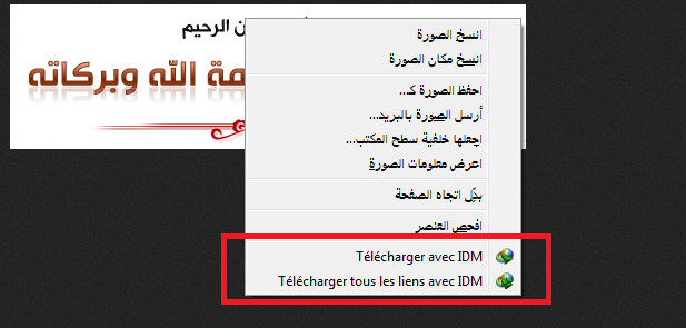 برنامج idm 6.16 البرنامج باخر اصداراته + كراك مدى الحياة Sans_t12