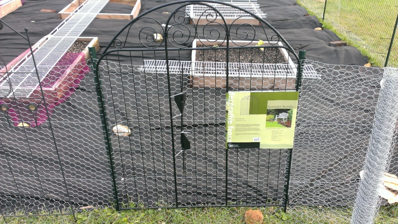 Need Help, Chicken Wire Fence on Green U-Posts 20130617