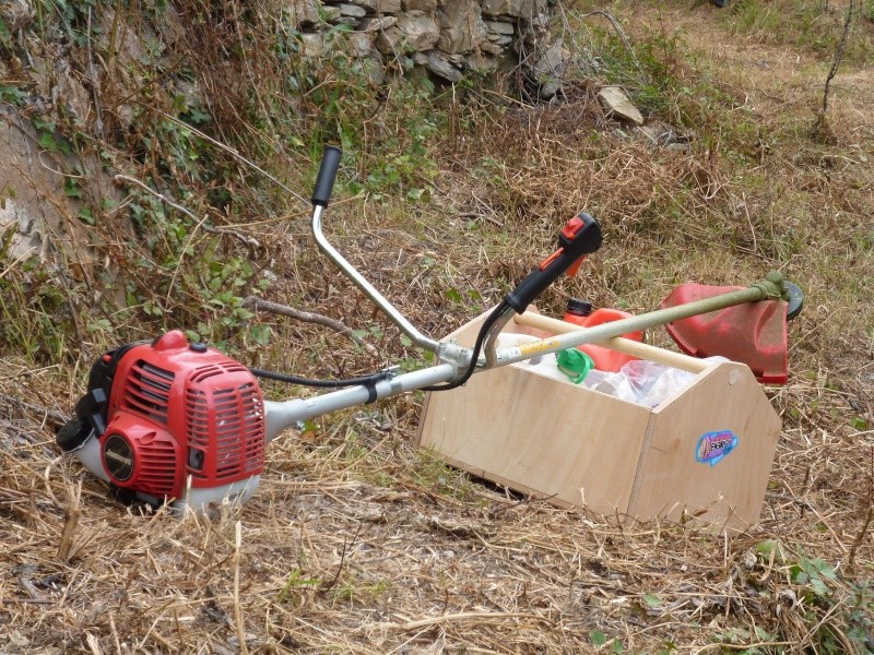 FOTO DEI NOSTRI DECESPUGLIATORI DA LAVORO - Pagina 3 P1000012