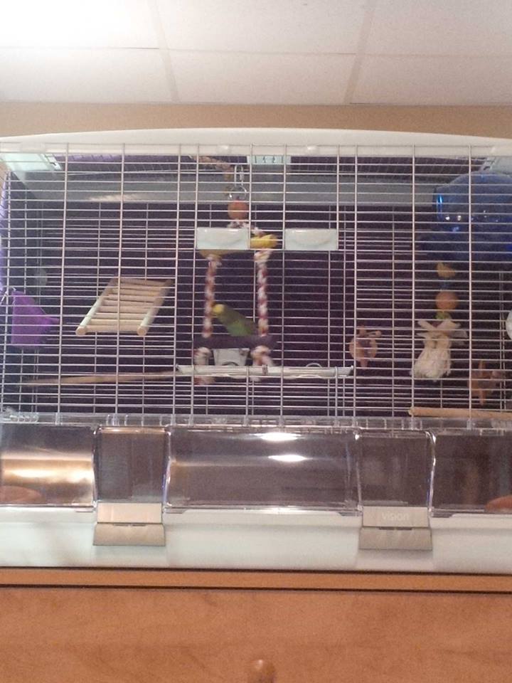 Cage trop grande ? - Page 3 Cage_c10