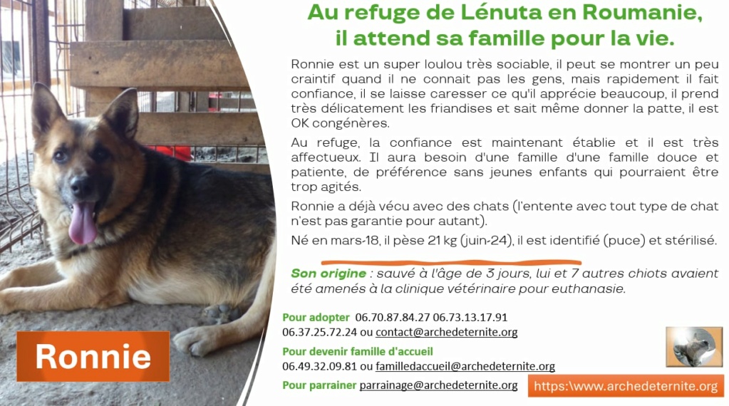 RONNIE,  MALE NE LE 15/03/2018  FRERE DE BONNIE- MOLUK 12-SC-R- PARRAINE PAR TOM58 - Page 2 What4207