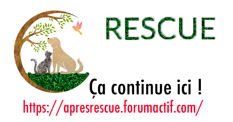 Logo du forum Rescue10