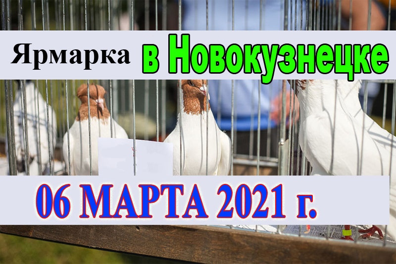 Ярмарки голубей в г. Новокузнецк в 2021 году. Caa_i_15
