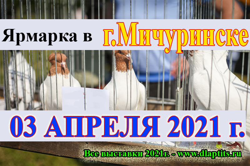 Ярмарки голубей в городе Мичуринске в 2021 году Caa_i_24