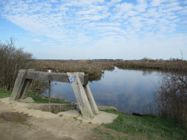 découverte de la Baie d'Arcachon  2f6e3c10