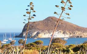 Carnet , après Gredos, Monfrague, les Alpujarras, le Cabo de Gata-Nijar  81f0ab10