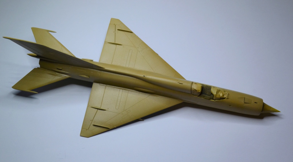Mig 21 Eduard limited edition 1/48 Dsc_0087