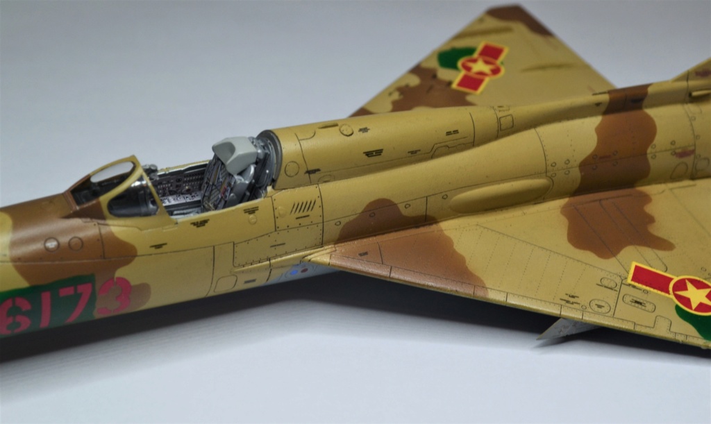 Mig 21 Eduard limited edition 1/48 - Page 2 Dsc_0099