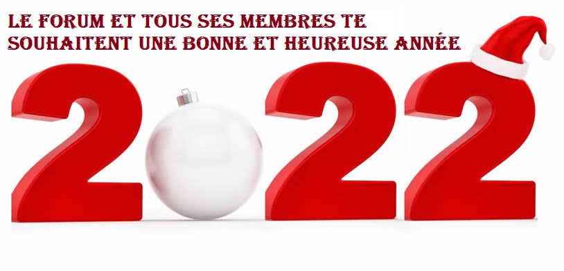 Bandeau de Noël 2022-310