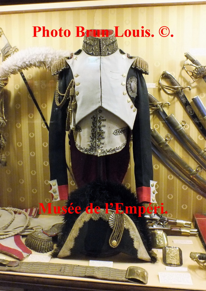 Recherche un Dragon de la Garde Impériale dénommé Duchatel. Dscf6511