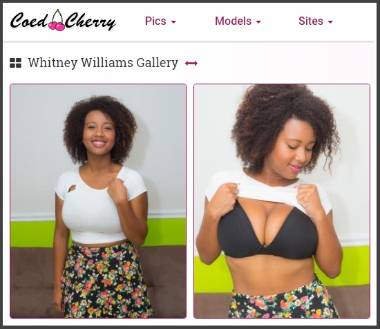 Scammer With Photos of Whitney Williams 1231