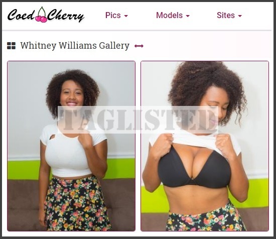 Scammer With Photos of Whitney Williams 12643