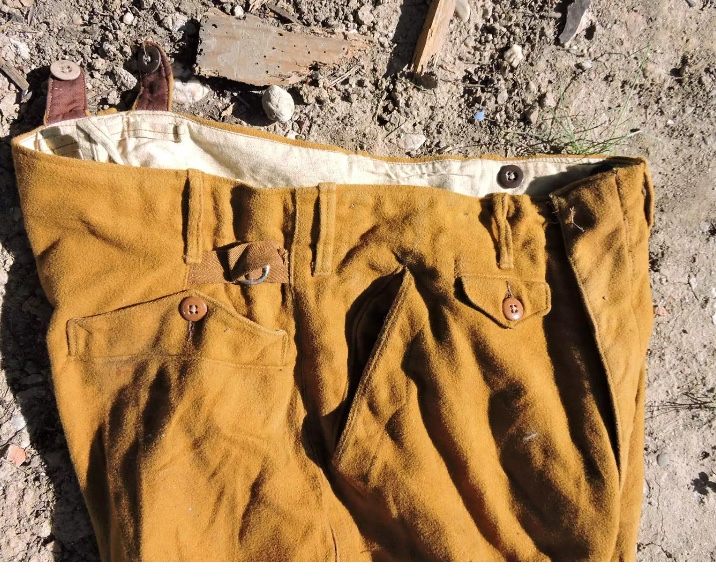Pantalon SA, NSDAP Fa510c10