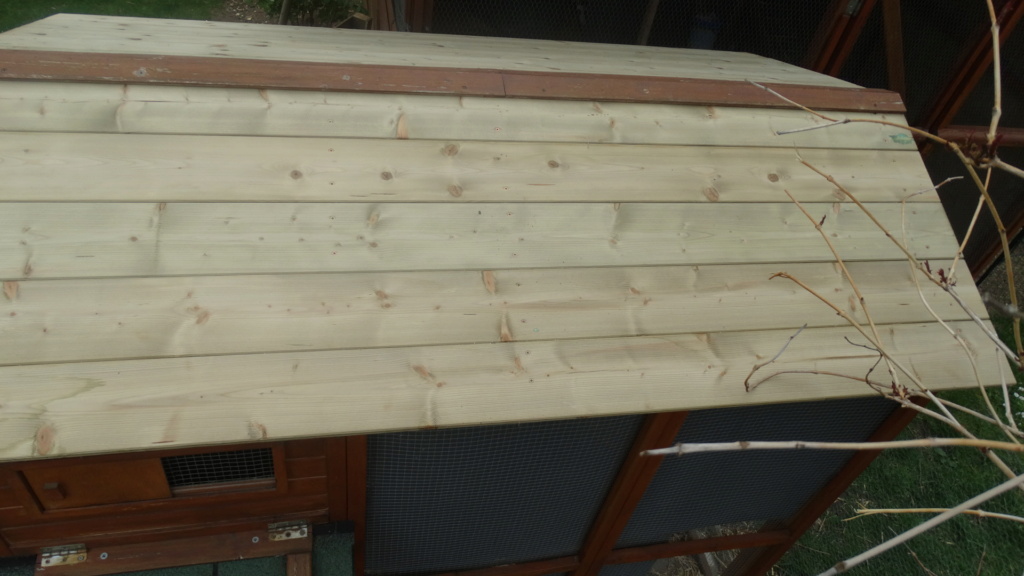 rénovation toiture ,de poulailler acheté dans le commerce  Dsc03915