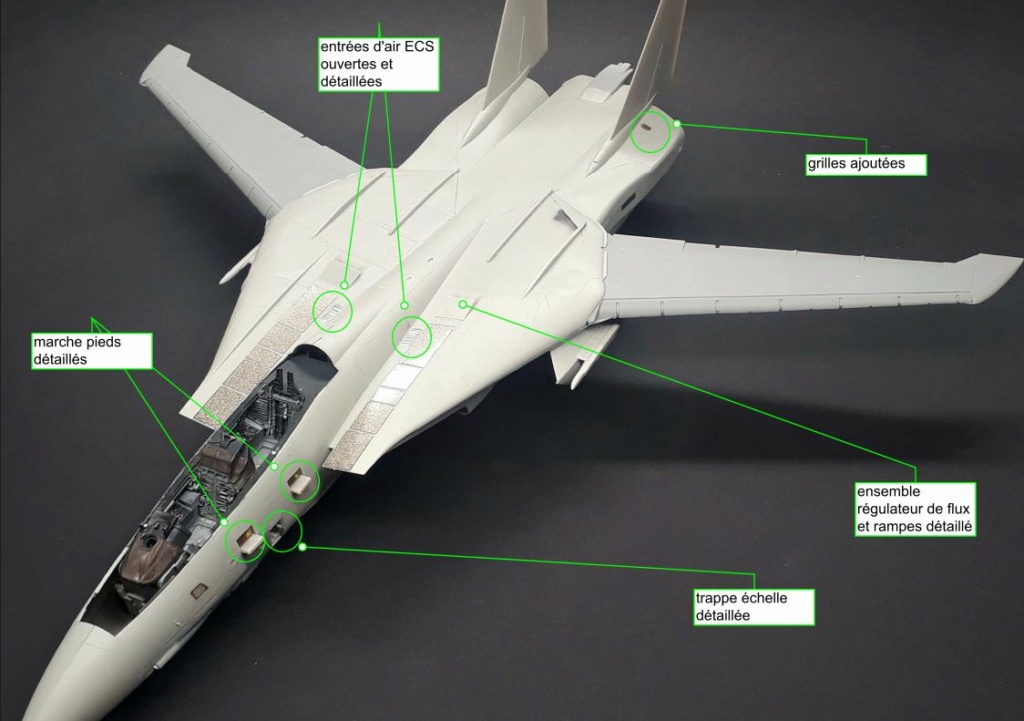 F-14 TOMCAT - STGB - GB  - Page 3 012