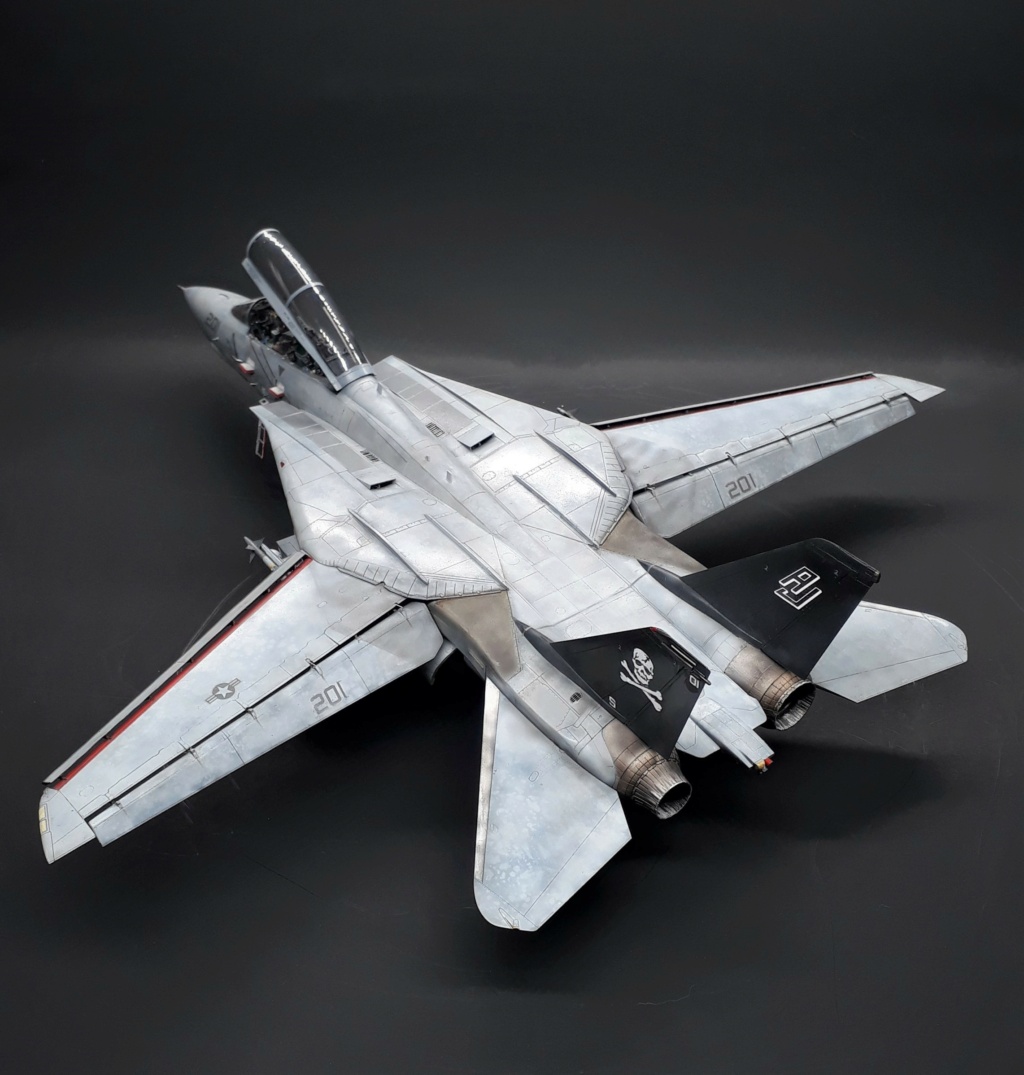 (KALEIDOSCOPE) Grumman F-14 TOMCAT (Toutes versions, tous pays, toutes échelles) 20210829