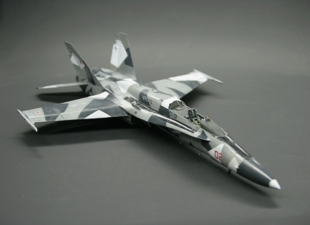 [Kinetic] 1/48  - McDonnell F/A-18A+ Hornet- VFC 12   / Double  [Tamiya] General Dynamics F-16C Fighting Falcon - 64th AGRS  1/48  - Aggressor - Page 5 Img_0016