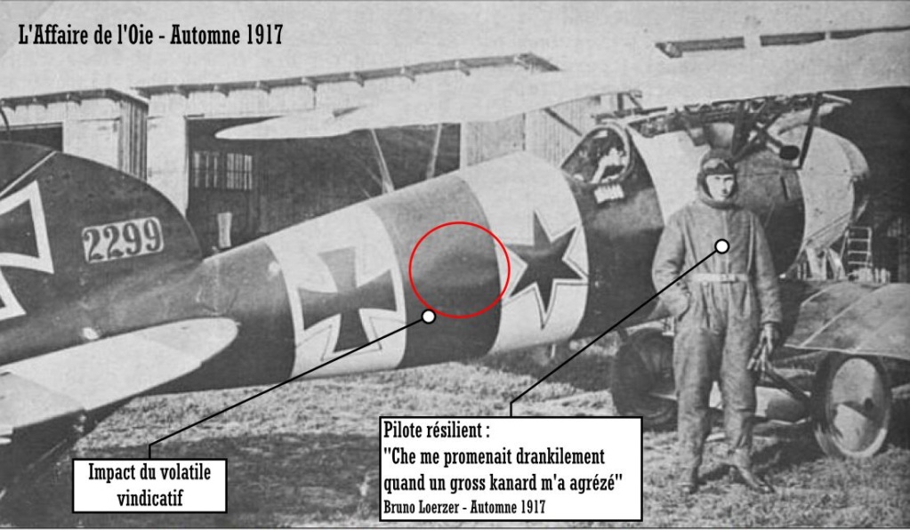 Albatros DV Jasta 26 - 1917 Eduard profipack 1/48 - Page 3 L1080830