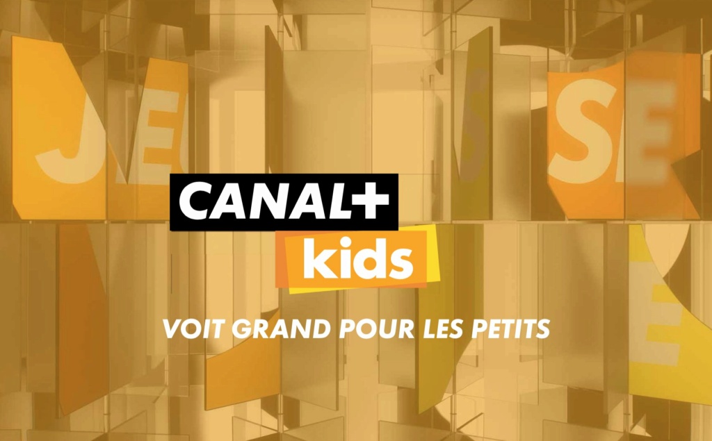 Mise à jour des chaînes de l'offre Canal - Page 5 Canal_11