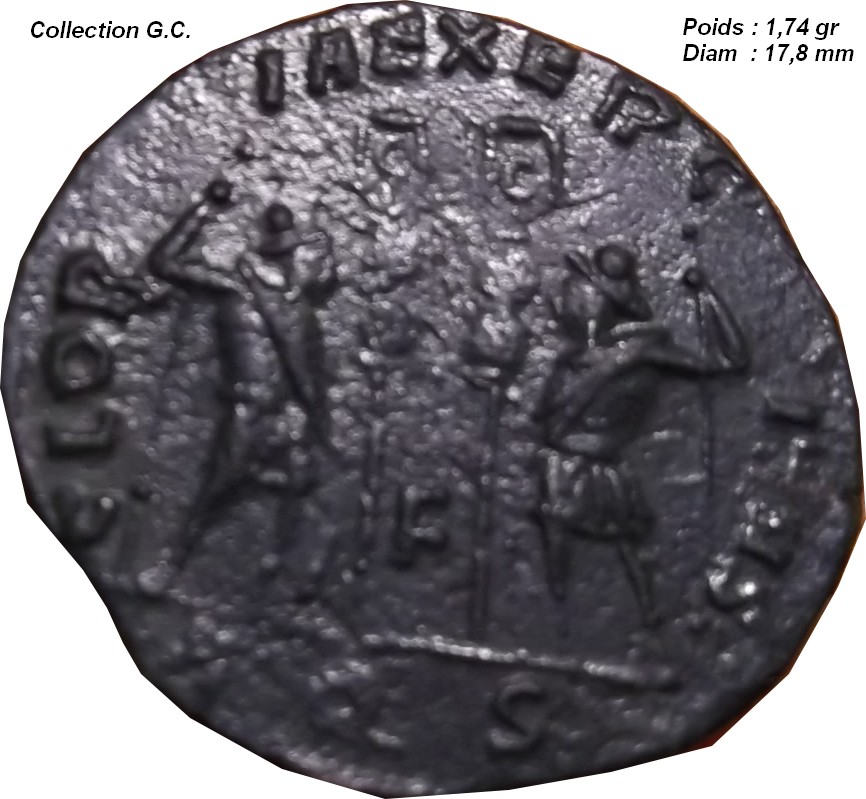 Identification Romaine (  Delmace ric 135 ) Ggg_211