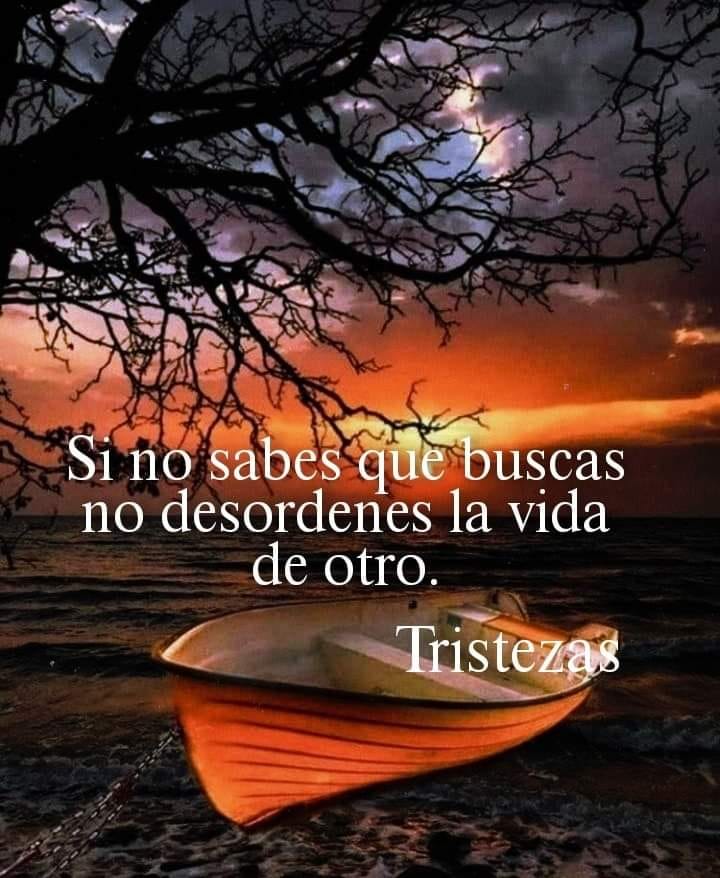 Frases y reflexiones - Página 2 27006511