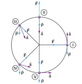 Movimento circular num plano vertical Bolinh10