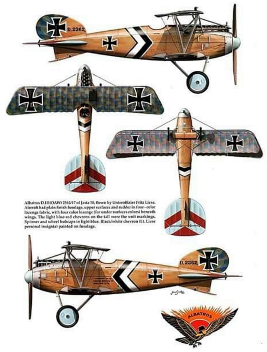 ALBATROS D.III 06a8ed10