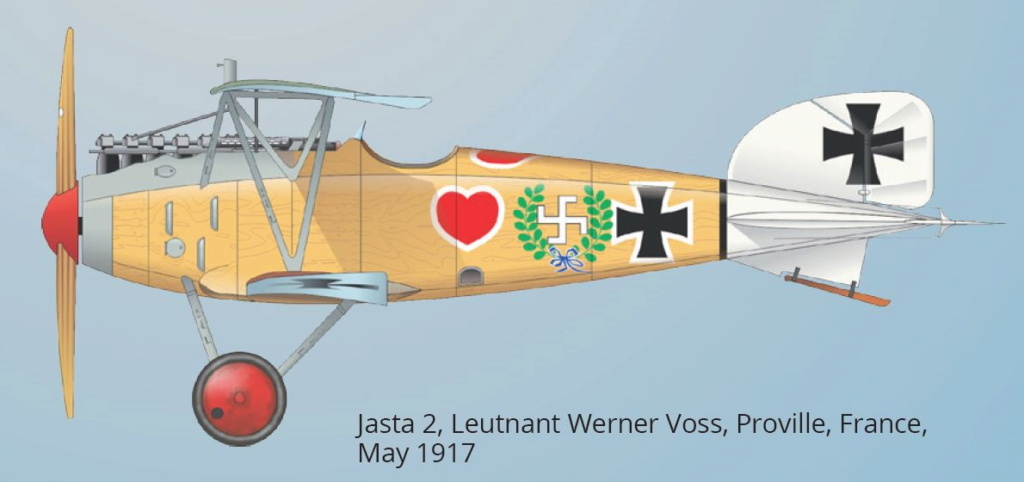 ALBATROS D.III Albatr24